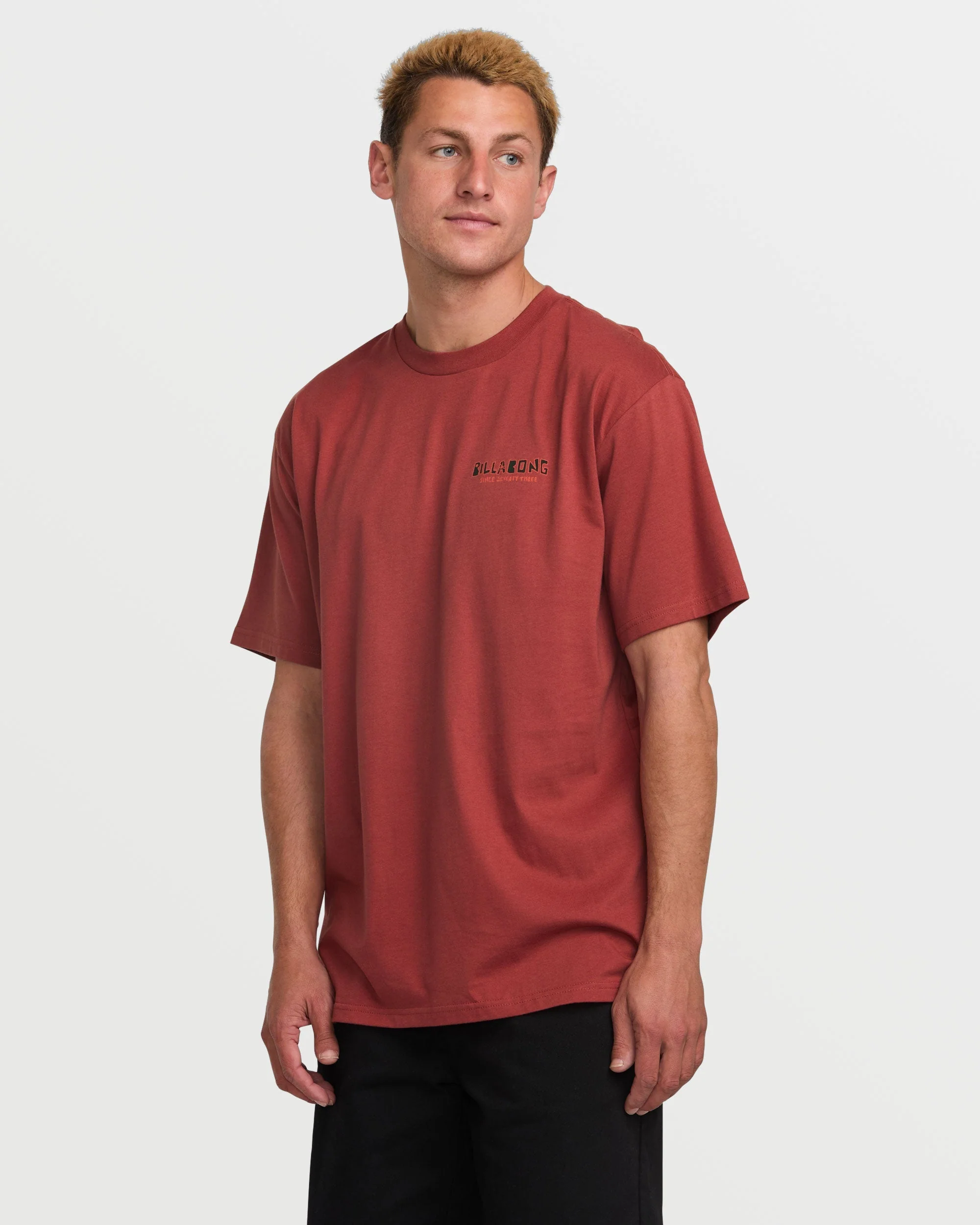 Twin Peaks Regular Short Sleeve Tee - Dusty Red - Image 3