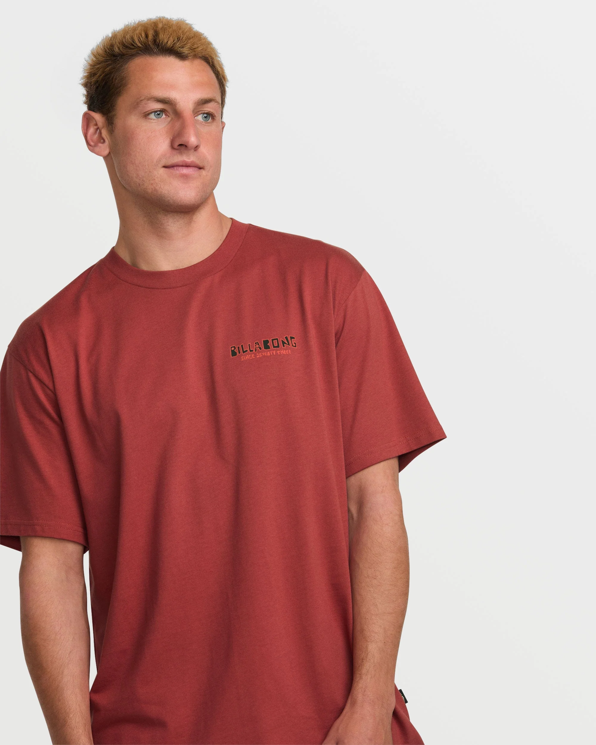 Twin Peaks Regular Short Sleeve Tee - Dusty Red - Image 4